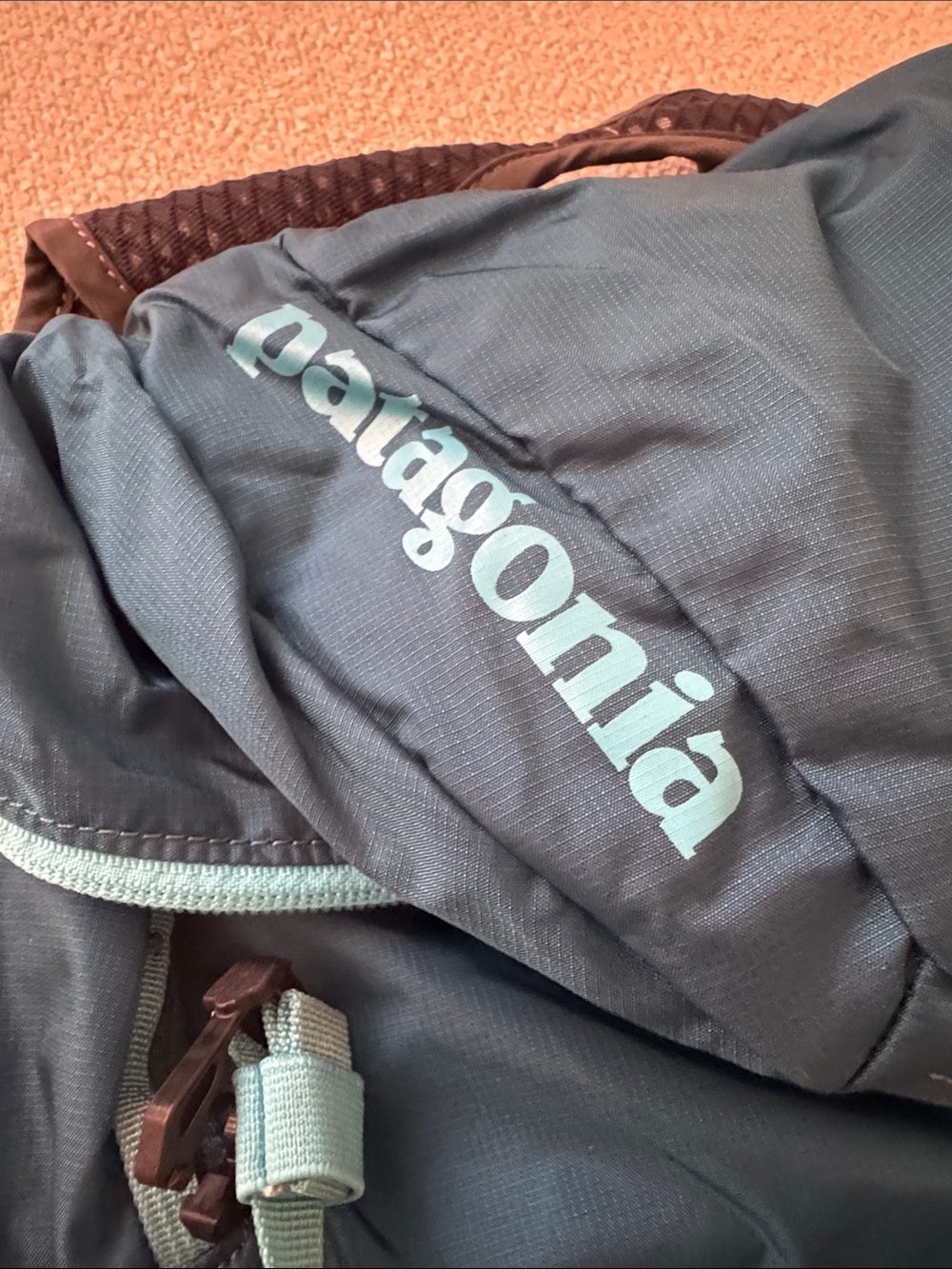 Patagonia Teal and Light-Teal Hiking Daypack - Picture 2 of 7